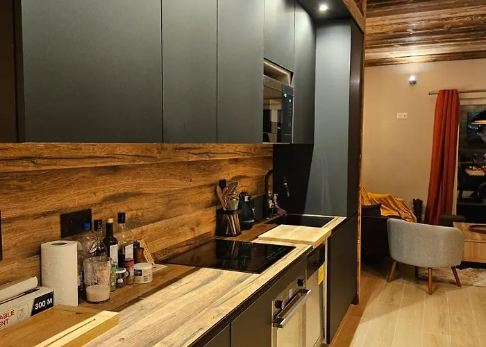 L'ecrin 4 4 Salles D Eau Les Deux Alpes