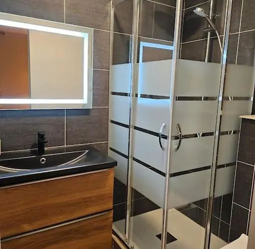 L'ecrin 4 4 Salles D Eau Les Deux Alpes