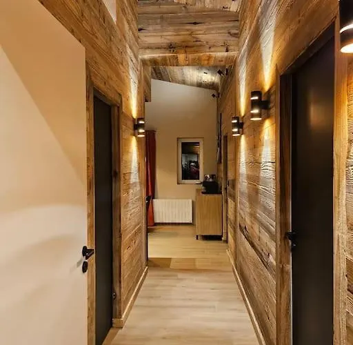 L'ecrin 4 4 Salles D Eau Les Deux Alpes